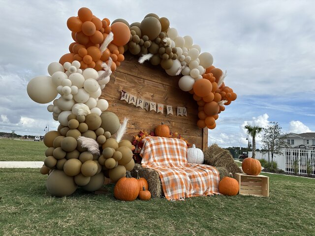 Balloon garland and wooden backdrop from Millers Jump Time